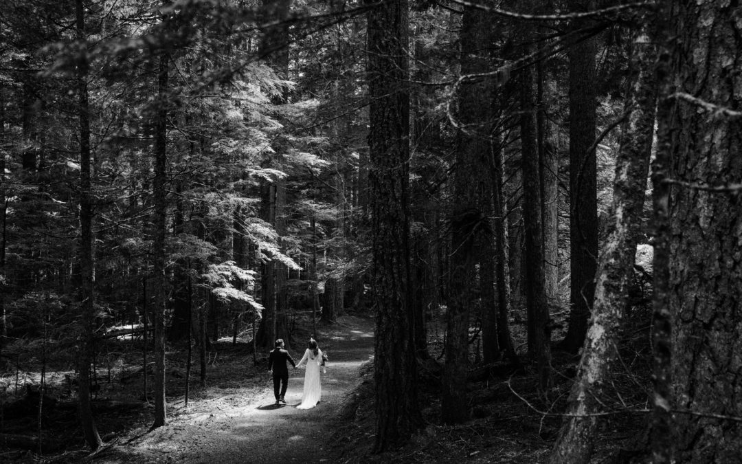 A Wedding at Mount Rainier National Park